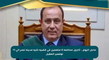 عاجل اليوم.. تأجيل محاكمة 8 متهمين في قضية خلية مدينة نصر إلى 11 نوفمبر المقبل